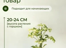⚡️ Смотрите, какие яркие и классные вещи для дома можно найти на Wildberries за копейки!